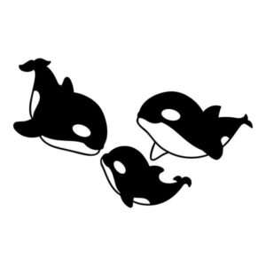 Orca Family